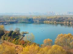 -西安浐灞国家湿地公园