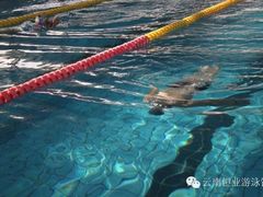泳池-云南恒业游泳馆
