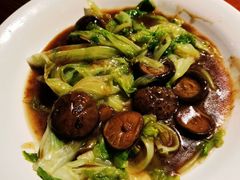 -顺德了能馆(虎门店)