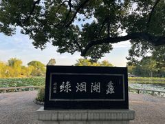-无锡蠡湖国家湿地公园-蠡园
