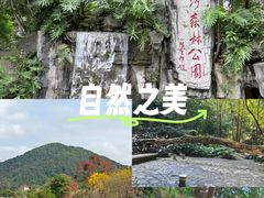 -广州市流溪河国家森林公园