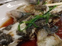 -客家汇·客家传承菜(水库店)