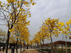 -麦当劳(中唱大厦店)