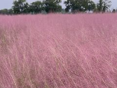 -汉长安城未央宫国家考古遗址公园