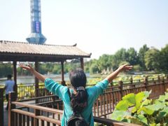 -裕华世纪公园