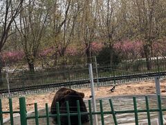 -秦皇岛野生动物园