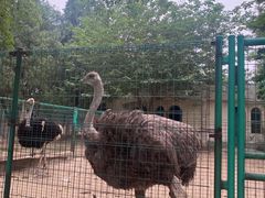 -保定市动物园