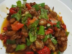 -煲来饱去冷水鱼