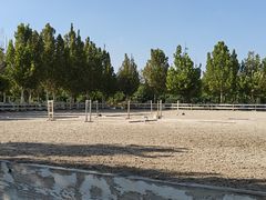 -北京群众马术培训基地