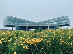 -涉地可支