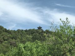 -北京西山国家森林公园