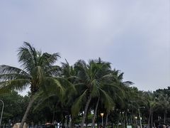 -深圳湾公园(南山区)