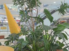 -野人先生Gelato(上海长宁龙之梦店)