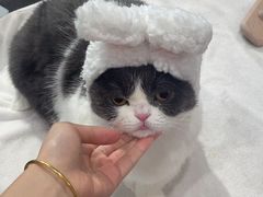 -熊小胖宠物生活馆(天华园店)