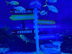 -上海海昌海洋公园