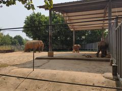 -东莞香市动物园