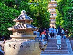 -灵谷景区