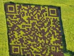 -稻梦空间冰雪小镇