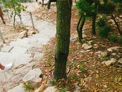 -石老人观光园