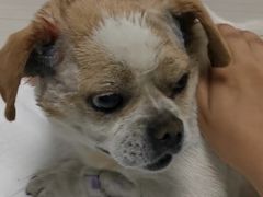 -荔康动物医院(康王北路店)