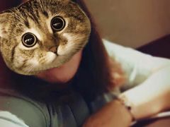 -壹号港湾