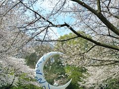 -杭州少年儿童公园