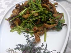 -金蝉食府(维吉奥广场店)