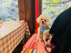 -北京水岸山吧度假村(雁栖镇店)