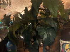 -凯撒城堡西餐厅(颐和国际店)