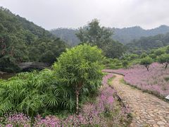 -广州市石门国家森林公园