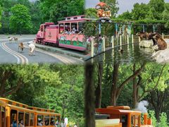 -常州淹城野生动物世界