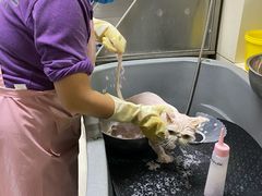 -北京观赏动物医院·24小时大型综合·猫专科·异宠专科