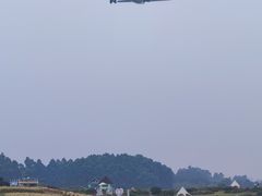-空港花田景区