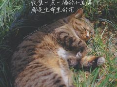 -西园寺