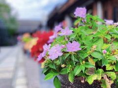 -茅山东方盐湖城景区