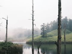 -瓦屋山景区