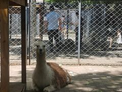 -长白岛森林公园