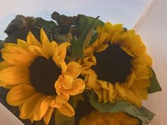 -红运火锅·中国名火锅(中防万宝城店)