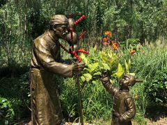 -合肥滨湖国家森林公园