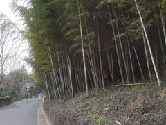 -苏州环秀晓筑养生度假村