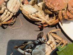 -一方渔歌蒸汽海鲜自助(文化路万达广场店)