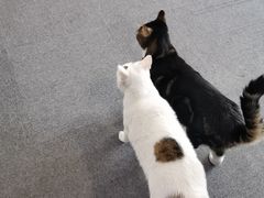 -青沐画室·专业美术培训