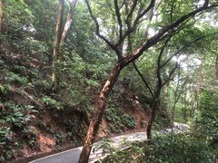 -广州市白云山风景名胜区