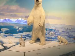 -陕西自然博物馆