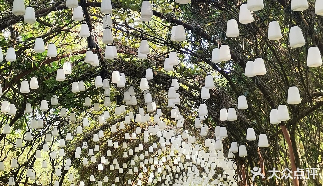 温泉项目：老少皆宜，露天温泉，有红酒浴