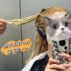 -三原色染发巴黎画染潮色漂色