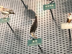 -中国湿地博物馆