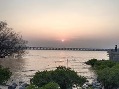-宝安西湾红树林湿地公园