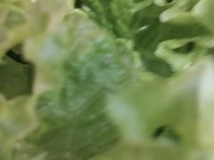 -郭记烤肉创始店(民丰大街店)