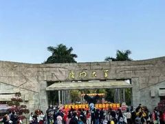 -演武大桥观景平台